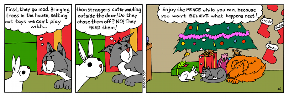 acedev comic, webcomic for Monday 25 Dec 2017
